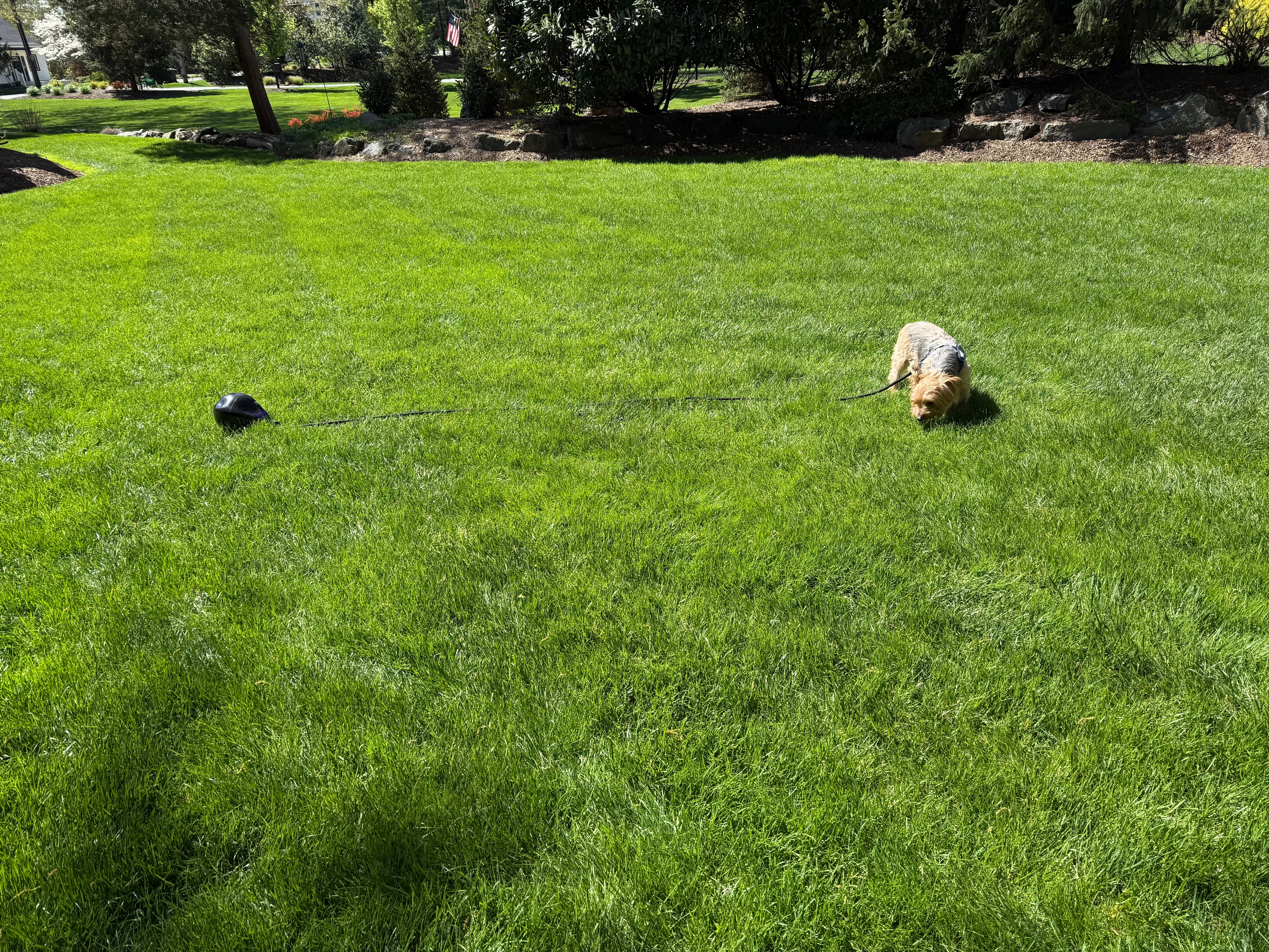 BoundBall: Founder's Edition