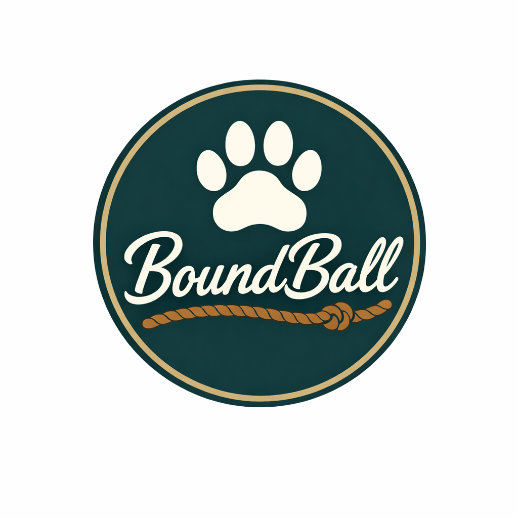 BoundBall: Founder's Edition